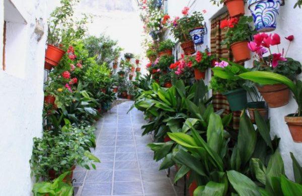 Appartamento La Casa De La Plaza Guejar Sierra Esterno foto